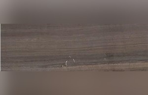 Parquet Marble