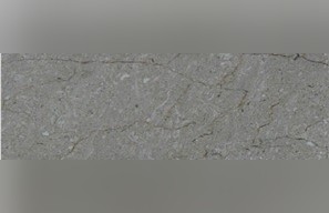 Pasha Cream Marble