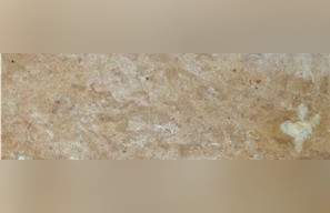 Pasha Gold Marble