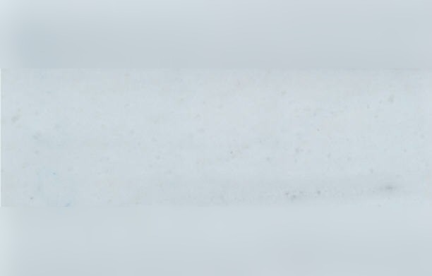 Pasha White Vein Marble