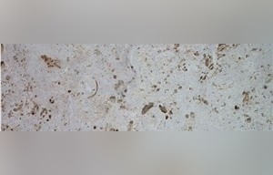 Pedra Fosil Limestone