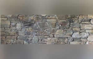 Pennyweight Schist