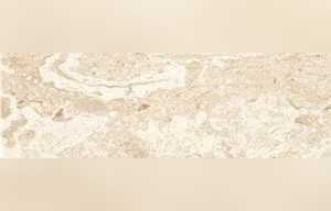 Perlato Grey Marble
