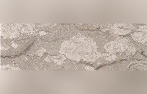 Perlato Nocciolato Limestone