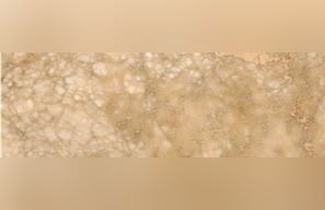 Persian Brown Alabaster