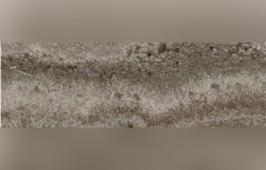 Persian Gray Travertine