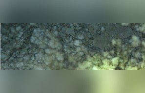Persian Green Alabaster