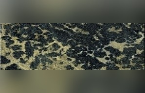 Persian Green Granite