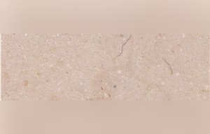 Persian Perlato Marble