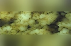 Persian Yellow Alabaster