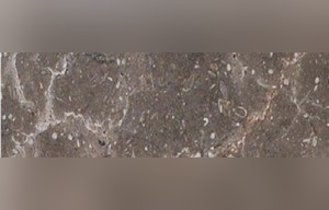 Petra Brown Marble