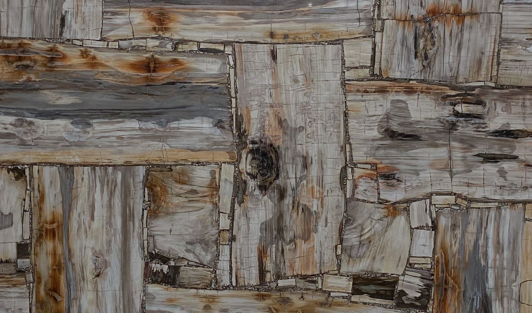 Petrified Wood White