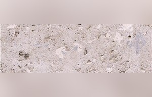 Pietra Di Vicenza Limestone