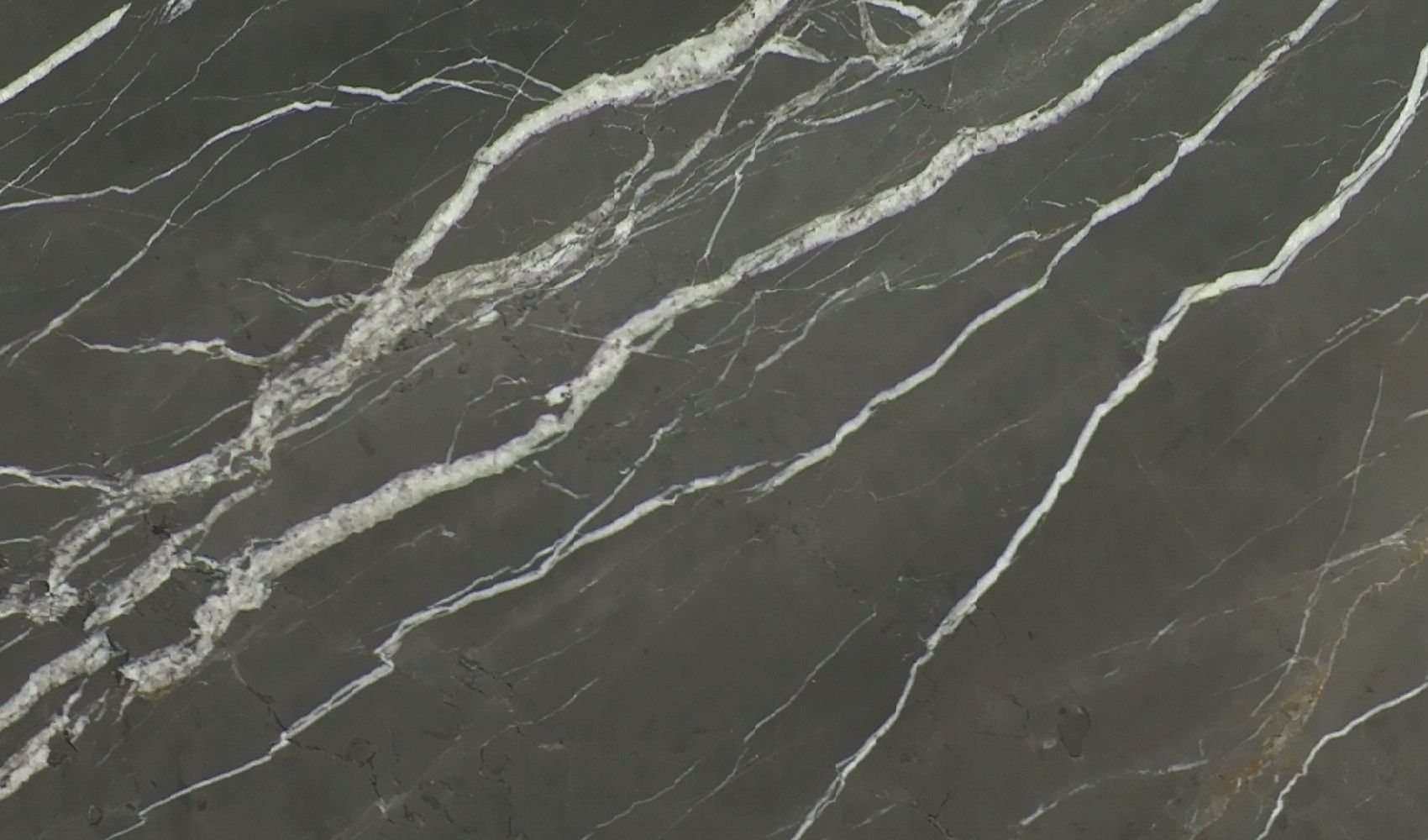 Pietra Grey