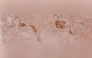 Pink Desert Marble