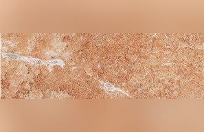 Pink Travertine