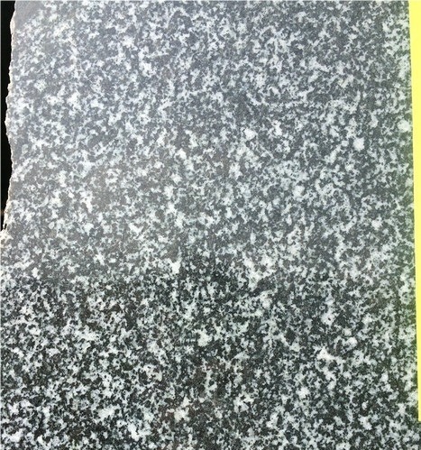Pioneer Green Granite