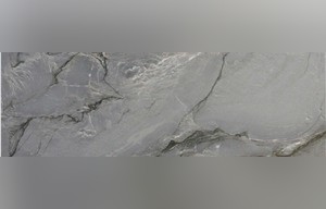 Platino Dark Quartzite