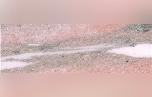 Polar Sun Marble