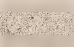 Portofino Beige Limestone