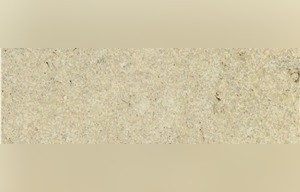Prairie Shell Limestone