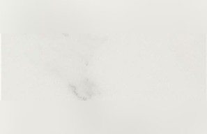 Prali Statuario Marble