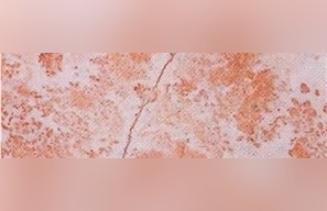 Qatranah Red Limestone