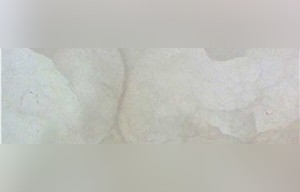 Qorve White Onyx