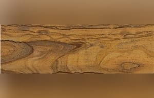 Radika Quartzite