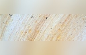 Rainbow Limestone