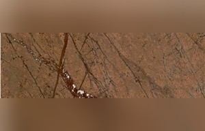 Rainforest Gold Marble