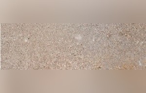Rebel Grey Sandstone
