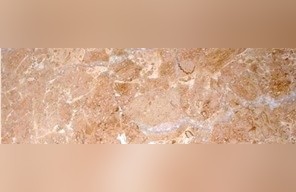 Red Lorca Limestone