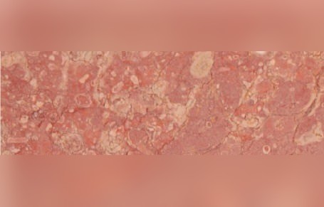 Red Moneasaa Limestone