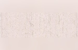 Reef Point Limestone