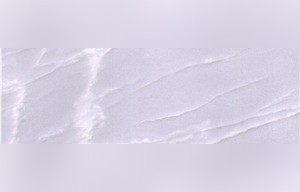Rhinoceros White Marble