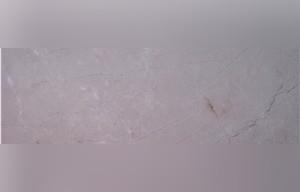Rich Beige Marble