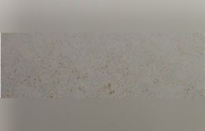 Riviera Beige Limestone