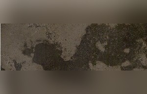 Roaming Brown Marble