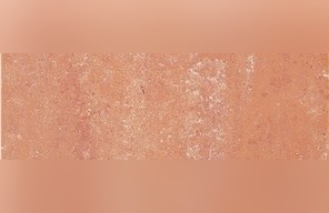 Rosa Brasile Slate