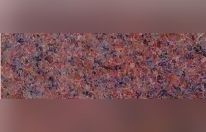 Rosa Kyshyn Granite