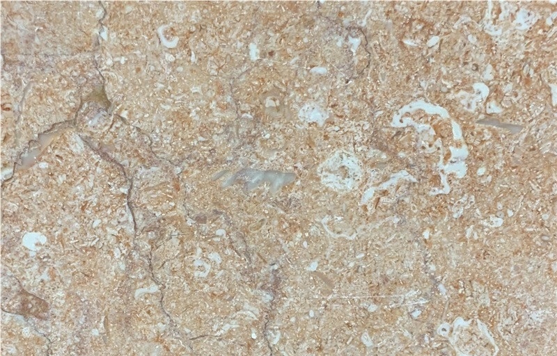 Rosa Tea Marble