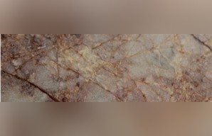 Rosa Tongho Marble