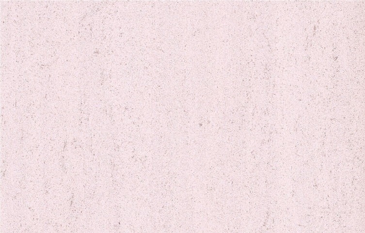 Rosal Dunas Limestone