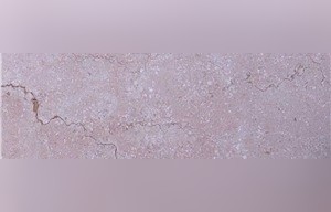 Rosalin Pink Marble