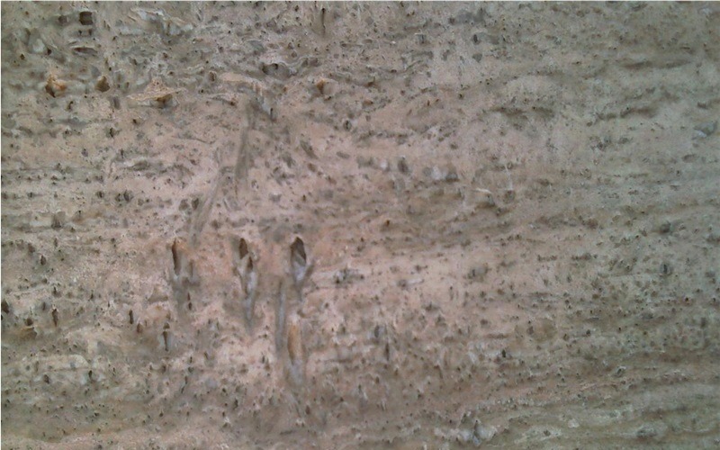 Rose Gray Travertine