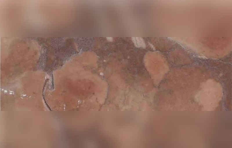 Rosso Di Trento Marble