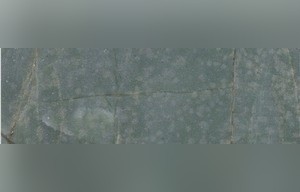 Royal Green Marble