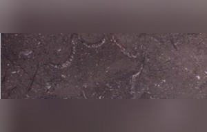 Royal Grey Marble