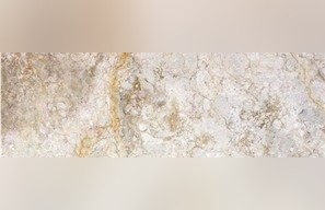 Royal Oyster Gold Marble